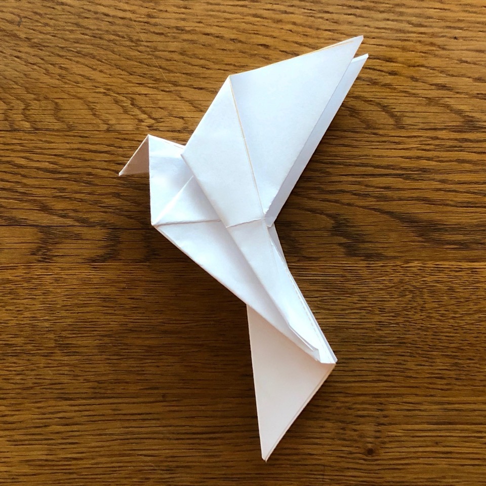 Peaceline Origami Logo